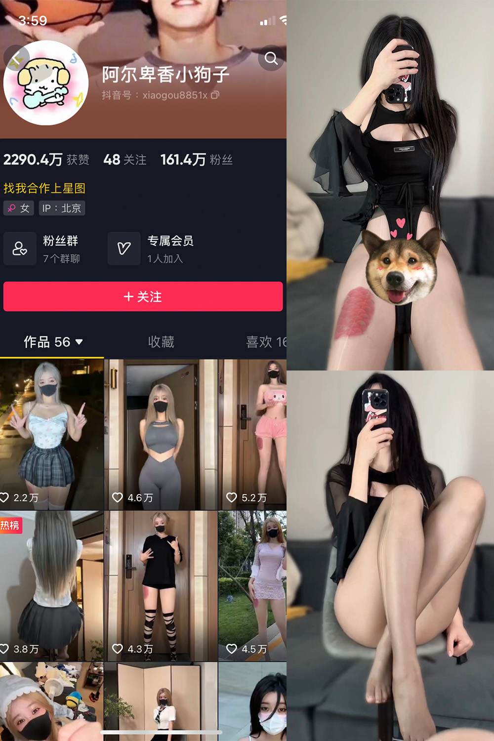 图片[1]-抖音 阿尔卑香小狗子 微密圈  NO.026期 【8P1V】最新至：2023.9.27-微密空间-全网最全抖音网红铁粉空间觅圈